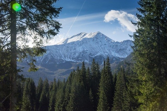 华沙工作签证 vs 永居资格：技术移民需注意的核心差异对比表