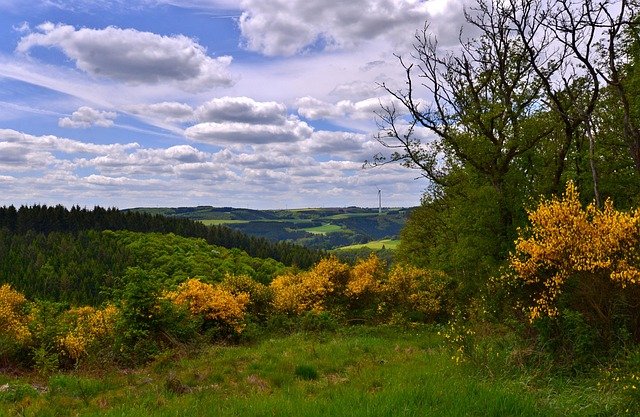 卢森堡高技术雇主担保移民申请条件：体检要求与核心材料指南