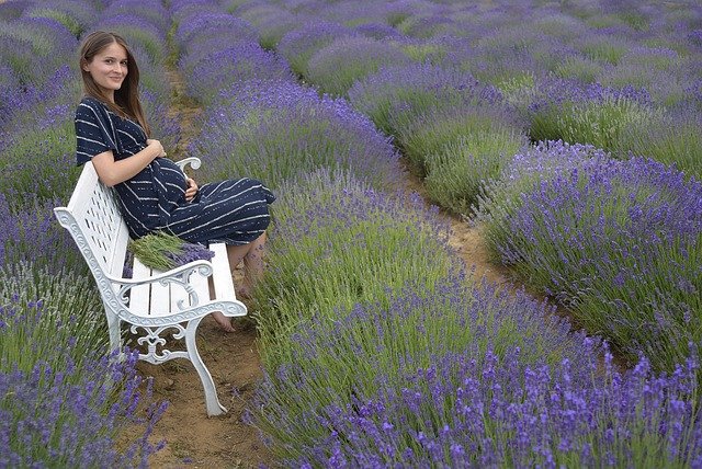 匈牙利留学与工作居留资格自测:如何维持身份并顺利续签?