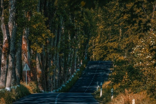 卢森堡留学转工作居留周期时效必读:从学生签证到永居的时间线与成本拆解