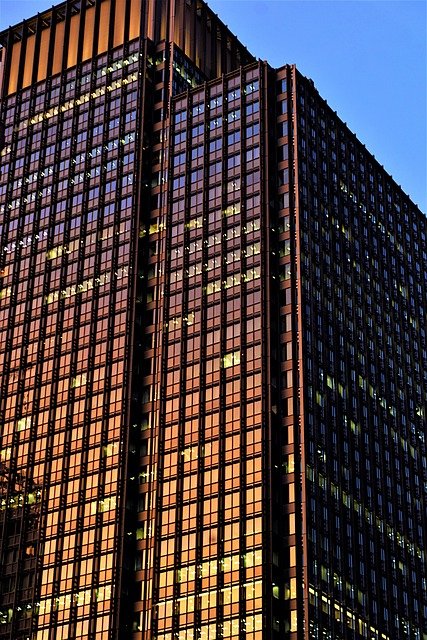 东京就职衔接高度人才签证申请全流程：适合人群自查与步骤拆解