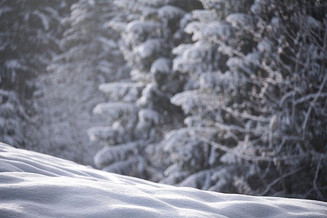 新西兰技术移民EOI筛中后：一步到位拿PR的材料清单与费用拆解