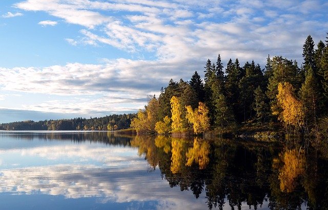瑞典高技术移民与欧盟蓝卡选择:6条核心差异帮你快速决策