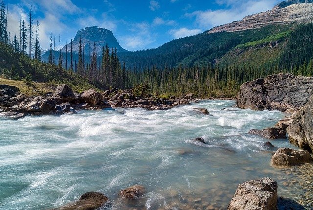 魁北克投资移民QIIP重启新政vs旧政:核心条件与配额限制的关键区别及办理攻略