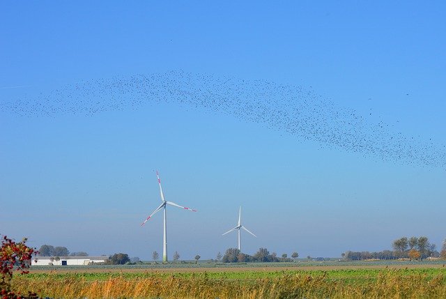 德国法人签证转永居补料攻略:投资金额细节与家属随行材料拆解