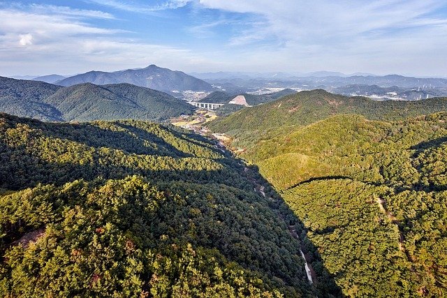 专业人才通过韩国雇主担保拿E-7签证，再转永住需要多久？这些加分策略能缩短周期！
