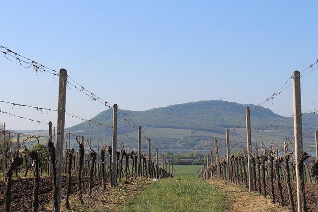 捷克投资与创业居留区域及项目选择一览：留学生与职场新人的适配路径