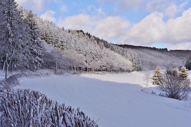 一文读懂卢森堡留学与工作居留面签：面试官最关注的5大维度及避坑策略