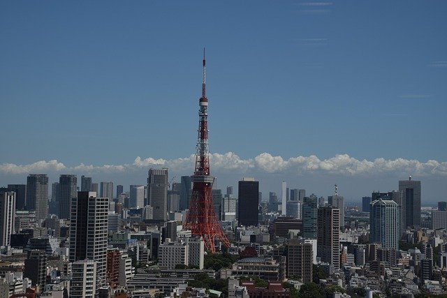 日本留学就职转永住拒签原因解析:各阶段学历要求与材料易错点
