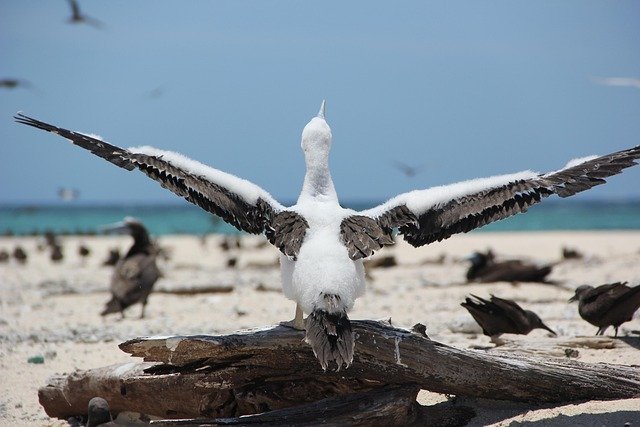 澳大利亚配偶签证820/801与309/100：符合申请条件吗？材料清单与误区纠正指南