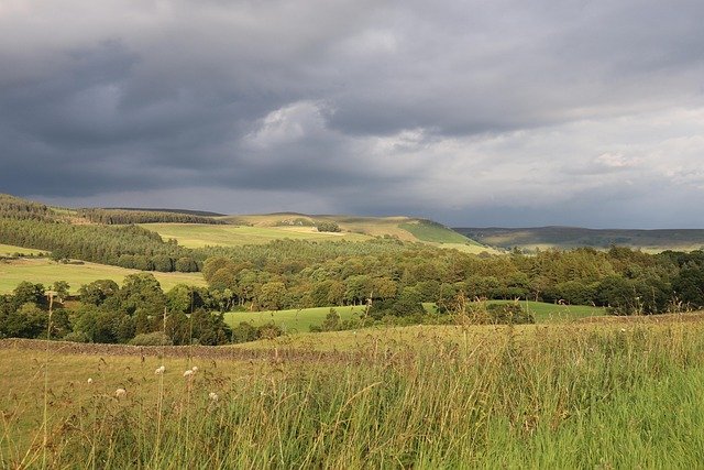 英国学生签→工签→永居实操手册:从毕业到PR的5年路径与成本拆解(真实案例版)