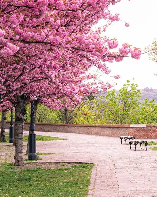 匈牙利家庭团聚申请:收入要求里藏着的年龄相关坑,你踩过吗?