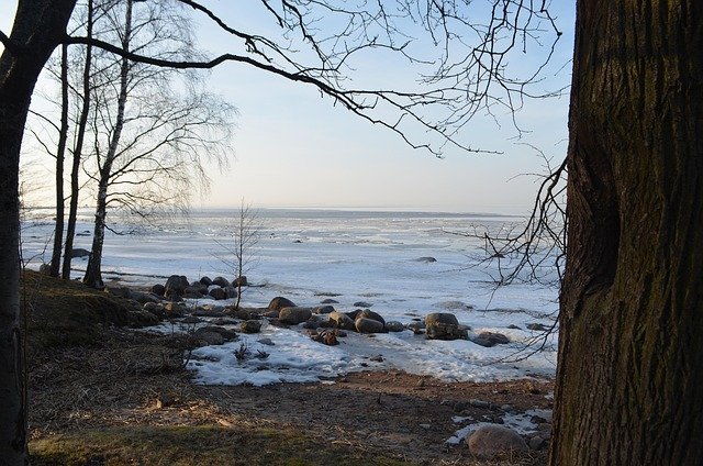 芬兰技术移民与欧盟蓝卡居住及续签完整指南：材料准备与常见补料解析
