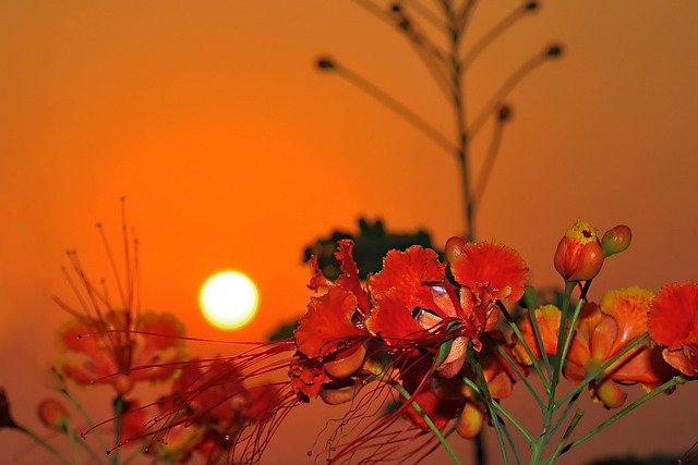 沙特投资与创业居留：省时省力锁定适合人群的场景化筛选指南