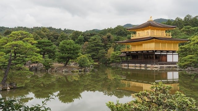 日本留学后就职到永住,要不要提前算清全路径费用?