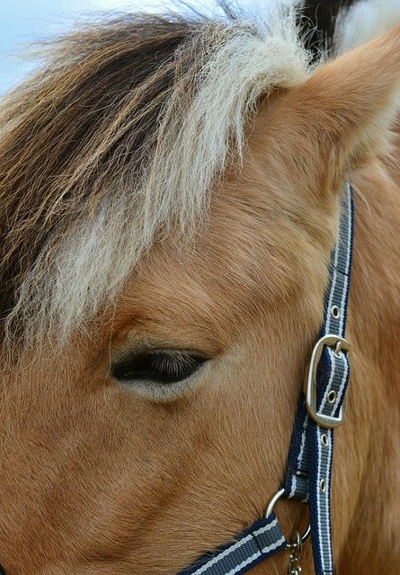 挪威创业与自雇居留费用明细——从申请到首年运营的显性成本与隐性支出拆解