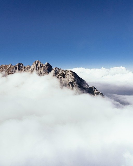 奥地利红白红卡与关键人才签证资格自测:你的条件适合哪个技术移民项目?