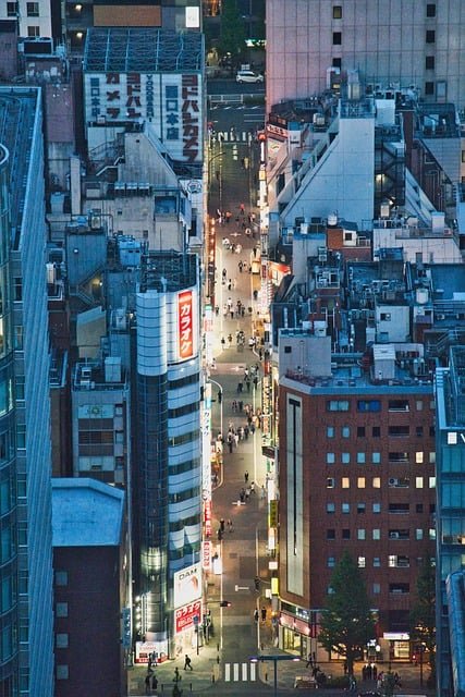 日本经营管理签证续签转永住权的5步路径拆解:从资格维持到永住获批的实操指南