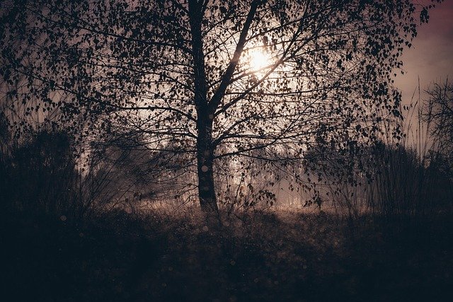 波兰留学与工作居留新旧条件对比：费用变化与资格门槛全解析