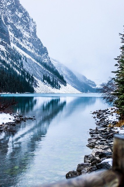 成功走通温哥华BC省留学移民:院校专业选择的关键注意事项