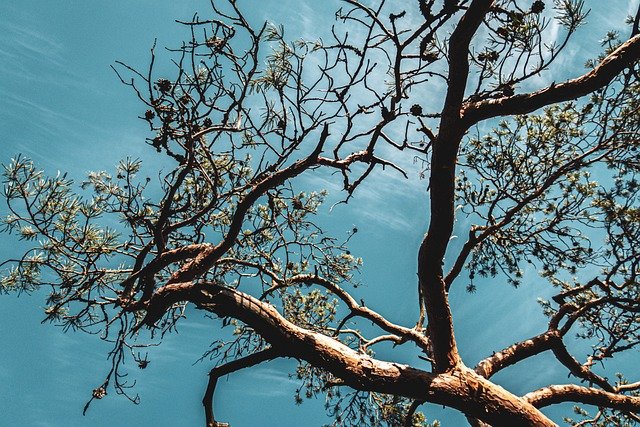 想办芬兰投资与创业居留?技术职场人专属的3个精准加分策略