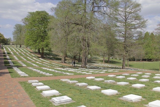 芬兰技术移民与欧盟蓝卡体检须知：常见问题及避坑指南