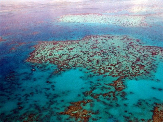 塔州188类商业移民州担保条件：申请前必问的5个核心问题