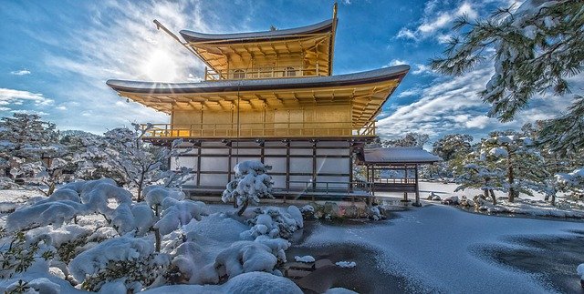 日本留学→就职→永住全路径费用拆解：从学生签证到永住权的每一笔支出明细