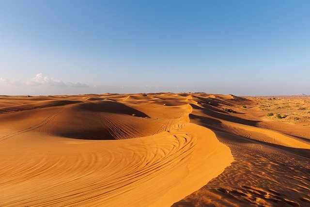 阿联酋人才签证与杰出人才居留子女及家属权益全面解读：资格、福利与避坑指南