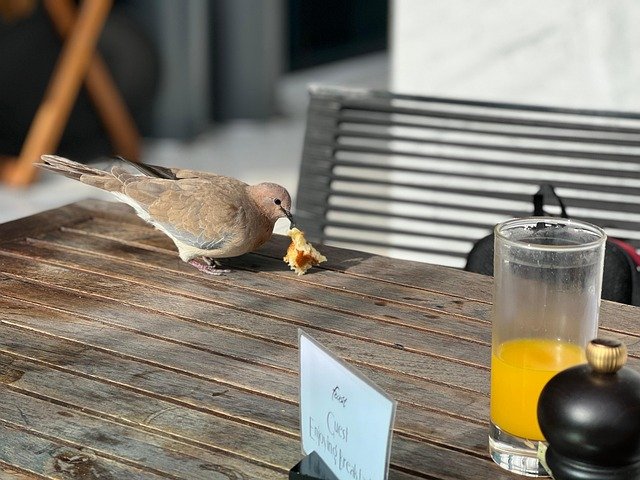 科威特雇主担保专业人才：居留续签新旧政策对比及材料补料全攻略