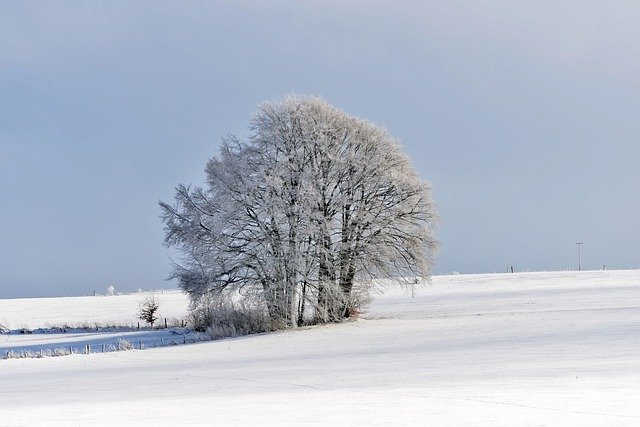 搞清卢森堡留学与工作居留办理流程：从入学到工签的核心问答指南