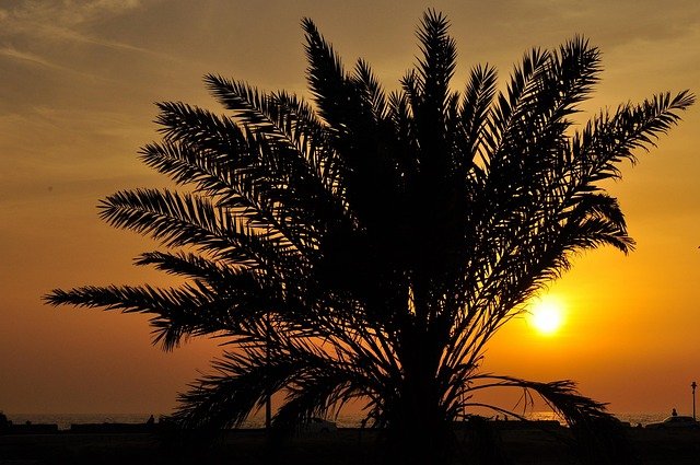 成功落地利雅得：工作签证到永居的全流程费用拆解与合规要点