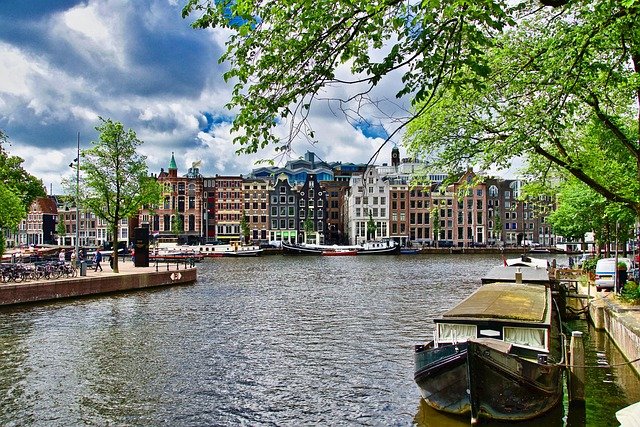 从荷兰投资/创业签证到入籍：转永居路径拆解与条件避坑指南