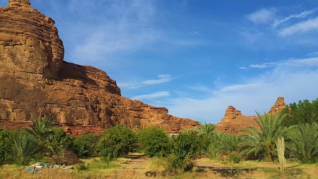 利雅得工作签证转永居能不能免投资?入籍路径有哪些合规要点?