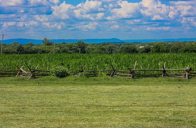 美国EB-5投资移民全时间线费用明细：从申请到永居每一步要花多少钱？