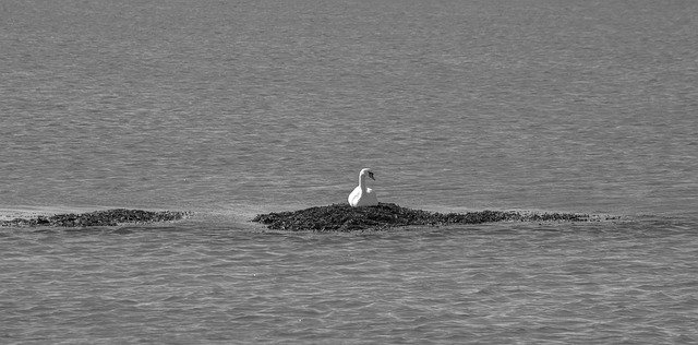 瑞典家庭团聚申请切勿造假:住房与收入材料真实准备的加分技巧