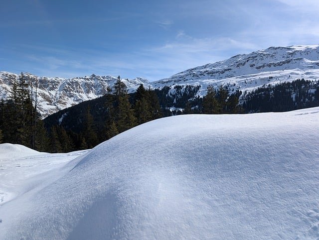 深度解析瑞士创业与自雇居留拒签核心：从商业逻辑到州担保的6大隐形雷区