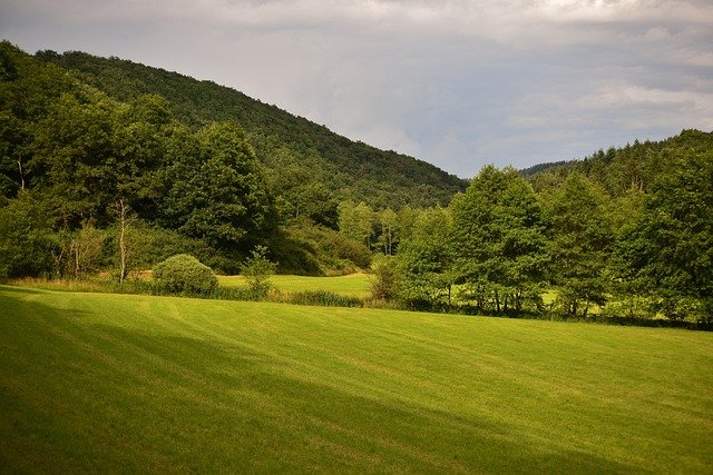 避开卢森堡留学转工作居留材料雷区：从学生签至工签的全阶段清单拆解