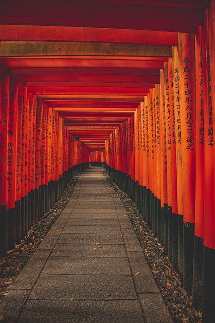 最新政策解读：日本留学后就职与永住路径的材料清单及补料应对策略