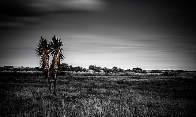 爱尔兰TLGS毕业工签申请条件材料清单:本科/硕士/博士差异与自查要点