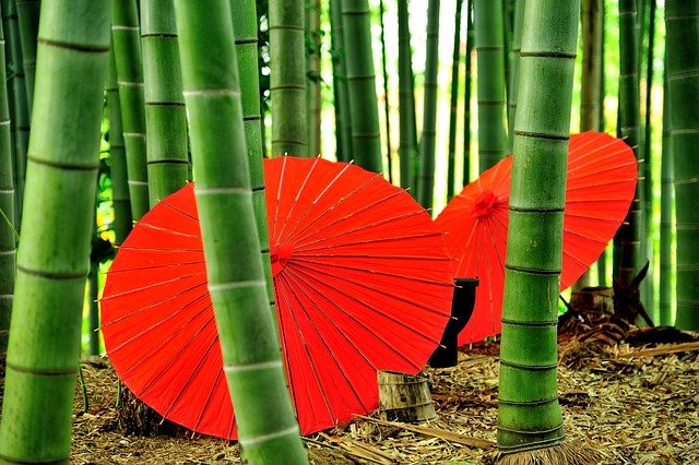 日本经营管理签证从续签到永住,时间线上需要满足什么核心条件?