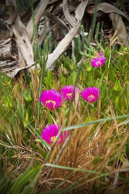葡萄牙D2企业家与创业签证审批：这些费用扣分项你踩中了吗？