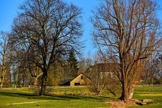 荷兰留学毕业Zoekjaar衔接工作签证：6项核心办理攻略与避坑问答