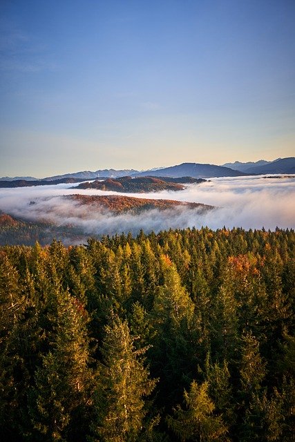 奥地利红白红卡打分规则与达标线全解析：含家庭加分及子女教育关联项