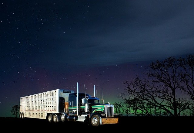 美国L1A与L1B转绿卡的居住要求有何不同？核心区别与常见误区澄清