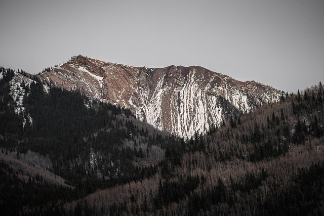 办加拿大育空偏远地区创业移民省提名，这些费用要不要提前预算？
