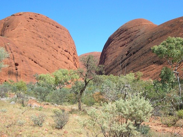 澳大利亚482转186永居时效攻略：从工签到PR的时间节点与避坑指南
