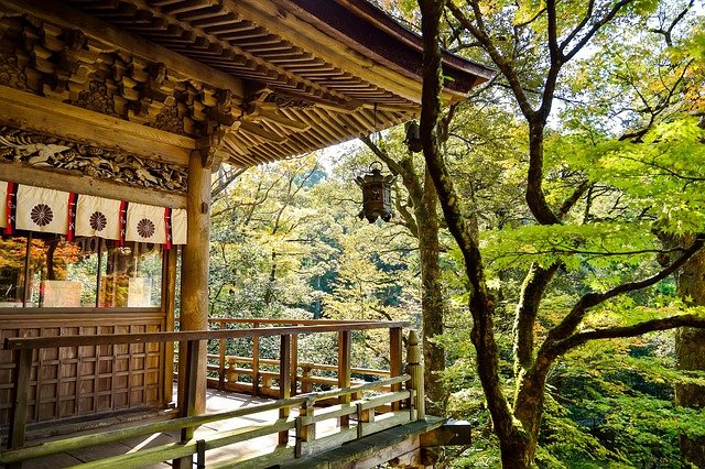 日本经营管理签证申请至永住全时间线：税务合规与成本节点拆解