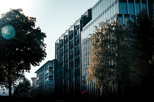 卢森堡高技术雇主担保vs普通工作担保:材料准备的优劣对比与适用人群解析