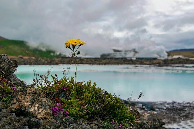 申请雷克雅未克工作签证与永居，你需要满足多少核心条件？